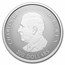 2025 Canada 1 oz Platinum $300 Maple Leaf Forever
