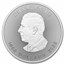 2025 Canada 10 kilo Silver $1,000 Big Silver Maple Leaf