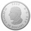 2025 Canada 2 oz Silver $30 Magic of the Northern Lights