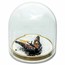 2025 Canada Silver Murano Monarch Butterfly (Box/COA)