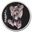 2025 Cook Islands 1 oz Ag Proof Underlook: Under-Dog PF-70 NGC FR