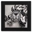 2025 Cook Islands 1 oz Silver Black Proof Butterfly (Box & COA)