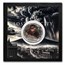 2025 Cook Islands 3 oz Silver Lost City; Pompeii (w/ Box & COA)