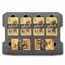 2025 Florida Series GoldbackBox - 5,000 Face Value Set