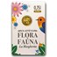 2025 Italy 1/10 oz Gold Flora and Fauna BU (In Card) - The Daisy