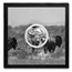 2025 Mongolia 1 oz Silver Proof Wild Mongolia Bison (Box & COA)