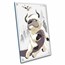 2025 Niue 1 oz Silver $2 Avatar Last Airbender: Appa & Momo Foil