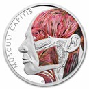 2025 Niue 1 oz Silver Proof Colorized Human Body - Head Muscles