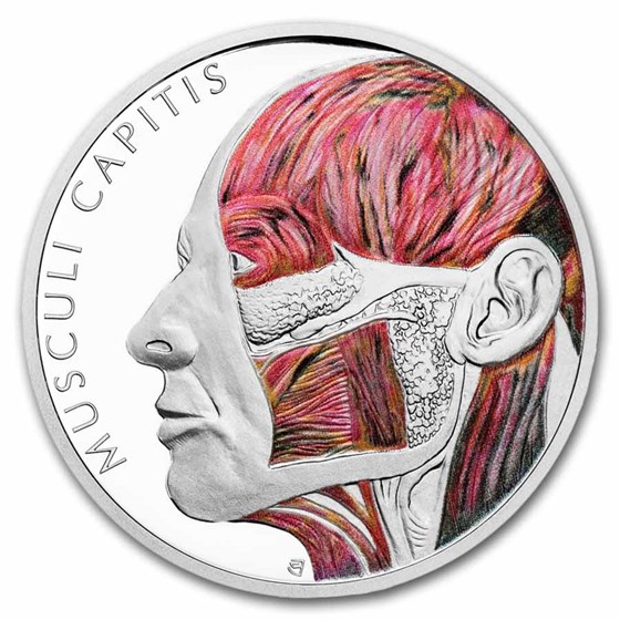 2025 Niue 1 oz Silver Proof Colorized Human Body - Head Muscles 2025 Niue 1 oz Silver Proof Colorized Human Body - Head Muscles