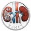 2025 Niue 1 oz Silver Proof Colorized Human Body - Kidneys