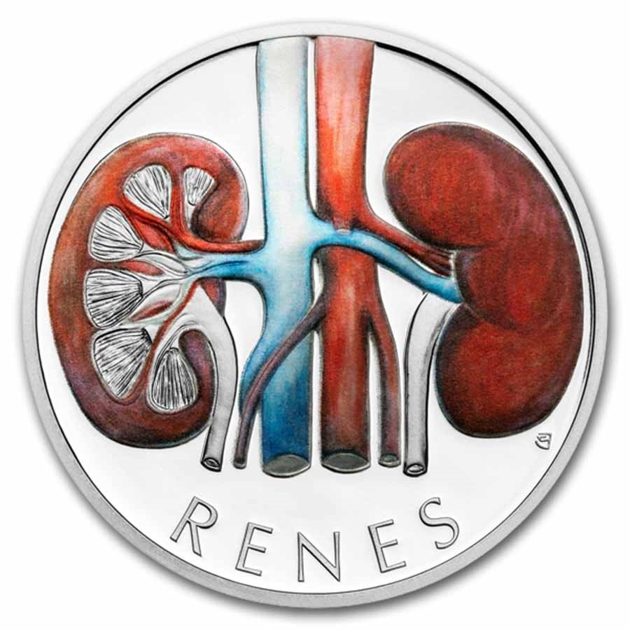 2025 Niue 1 oz Silver Proof Colorized Human Body - Kidneys