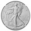2025-(P) American Silver Eagle (Eagle Privy) MS-70 NGC (FDI)