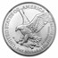2025-(P) American Silver Eagle (Eagle Privy) MS-70 NGC