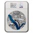 2025 Palau 1 kg Ag Tiffany Art Metropolis Washington DC PF-70 NGC