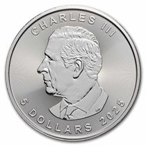 Buy 2025 Canadian 1 oz Silver Treasured Silver Maple Polar Bear