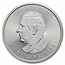 2025 RCM $5 1 oz Silver Treasured Silver Maple Polar Bear Privy