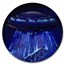 2025 Republic of Cameroon 2 oz Silver We Are Here: Alien