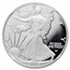 2025-S Proof Silver American Eagle PF-70 NGC (Moy)