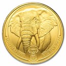 2025 South Africa 1 oz Gold Big Five Elephant BU
