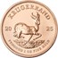 2025 South Africa 1 oz Gold Krugerrand (10-Coin MintDirect® Tube)