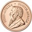 2025 South Africa 1 oz Gold Krugerrand (10-Coin MintDirect® Tube)