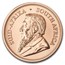 2025 South Africa 1 oz Gold Krugerrand (MintDirect® Single)