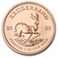 2025 South Africa 1 oz Gold Krugerrand (MintDirect® Single)