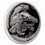 2025 South Africa 1 oz Silver The Odyssey Series: Bateleur Eagle