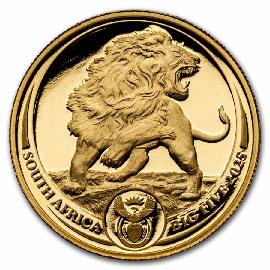 2025 South Africa 2-Coin Gold Big Five Lion Proof Set | eBay