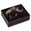 2025 South Africa 2-Coin Gold Big Five Rhino Proof Set Box & COA