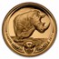 2025 South Africa 2-Coin Gold Big Five Rhino Proof Set Box & COA