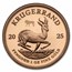 2025 South Africa 2-Coin Gold Krugerrand & Lion Proof Set