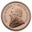 2025 South Africa 2-Coin Gold Krugerrand & Rhino Proof Set