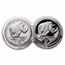2025 South Africa 2-Coin Silver Big Five Rhino Proof Set