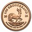 2025 South Africa 5-coin Gold Krugerrand Fractional Proof Set