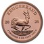 2025 South Africa 6-coin Gold Krugerrand Proof Set