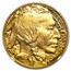 2025-W 1 oz Proof Gold Buffalo PF-70 NGC (Advanced Release)