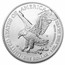 2025-W Burnished American Silver Eagle (w/Box & COA)