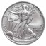 2025-W Burnished Silver Eagle MS-70 NGC (AR, Gaudioso)