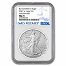 2025-W Burnished Silver Eagle MS-70 NGC (Early Releases)