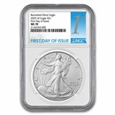2025-W Burnished Silver Eagle MS-70 NGC (First Day of Issue) 2025-W Burnished Silver Eagle MS-70 NGC (First Day of Issue)
