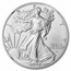 2025-W Burnished Silver Eagle MS-70 NGC (Moy)