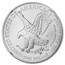 2025-W Burnished Silver Eagle MS-70 NGC (Moy)