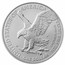 2025-W Burnished Silver Eagle SP-70 PCGS (FDI, Black)