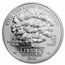 2025-W Proof Platinum Eagle PR-70 PCGS (Advanced Release, Black)