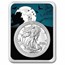 2026 1 oz American Silver Eagle (w/Haunted House Card, In TEP)