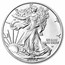 2026 1 oz American Silver Eagle - w/Starry Night Nativity Card