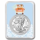 2026 1 oz Silver Eagle - w/Just Married, Light Blue Card, In TEP