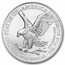 2026 100-Coin Silver Eagle Mini Monster Box (MintDirect®)