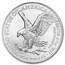 2026 American Silver Eagles (20-Coin MintDirect® Tube)